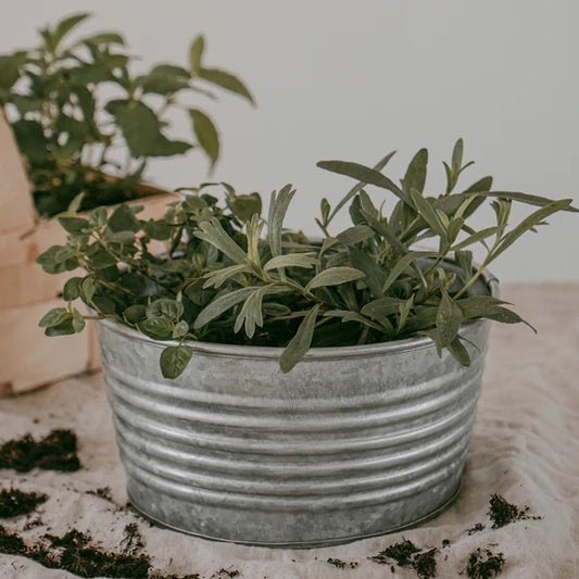 Contenitore di metallo 20 cm