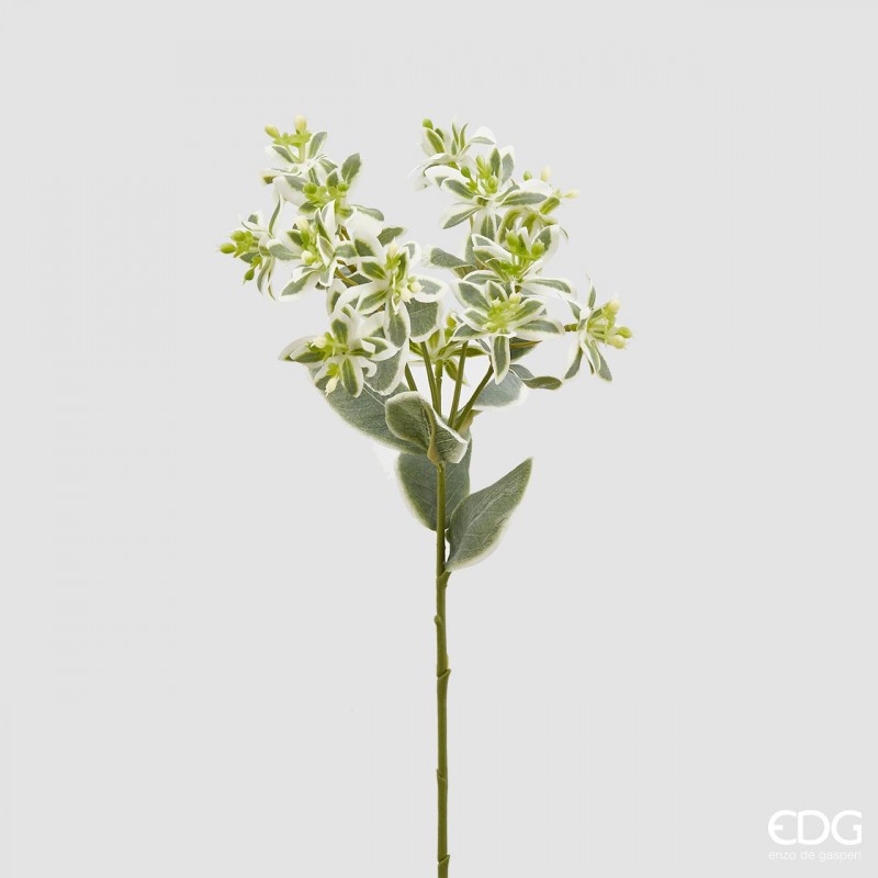 Ramo Euphorbia artificiale H50 - NORK DESIGN